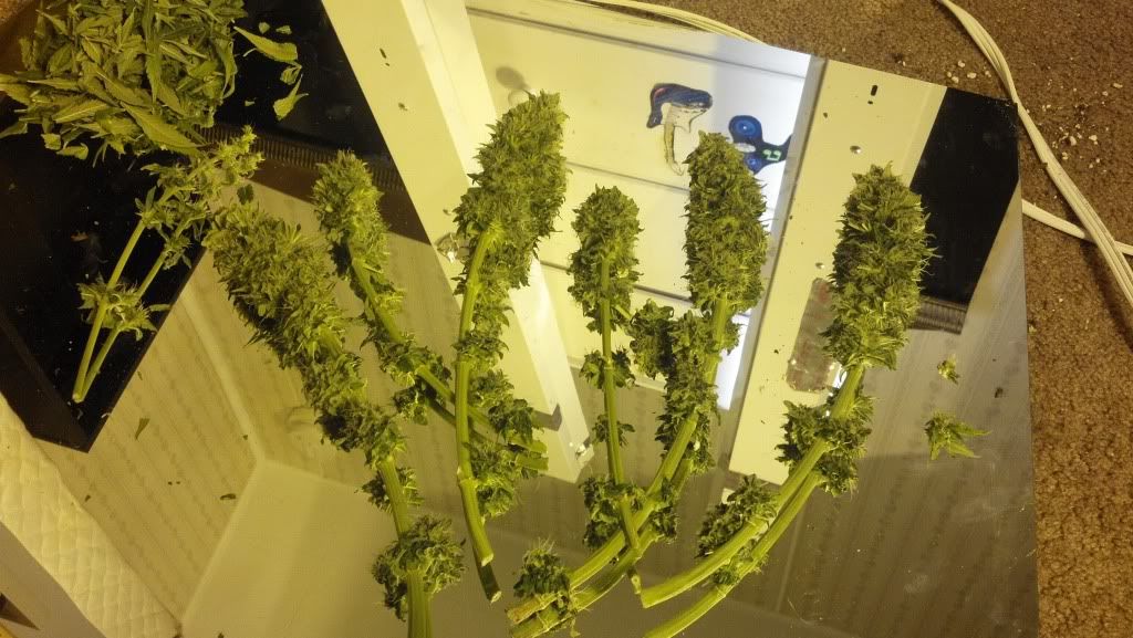 2013-04-06_10-34-39_792_zps4d0a7ca1.jpg