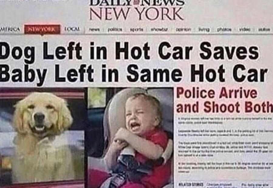 6RJ6LMQ.jpg