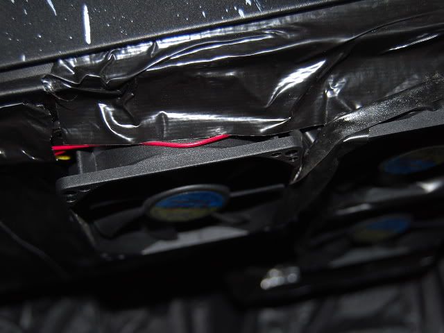 SSC_0987.jpg