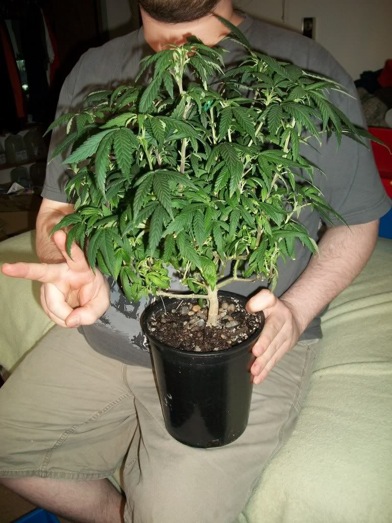 5-4-11028.jpg