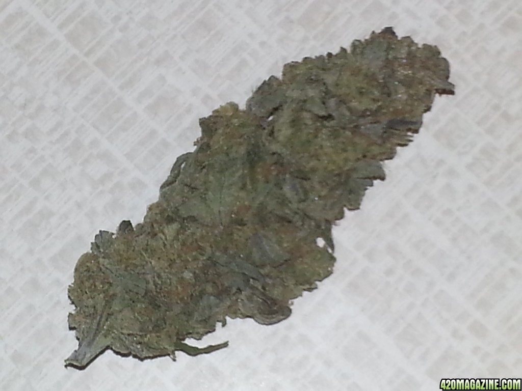 20140419_214415.jpg