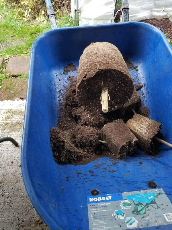soilb.jpg