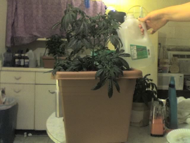 10-05-07_2229.jpg