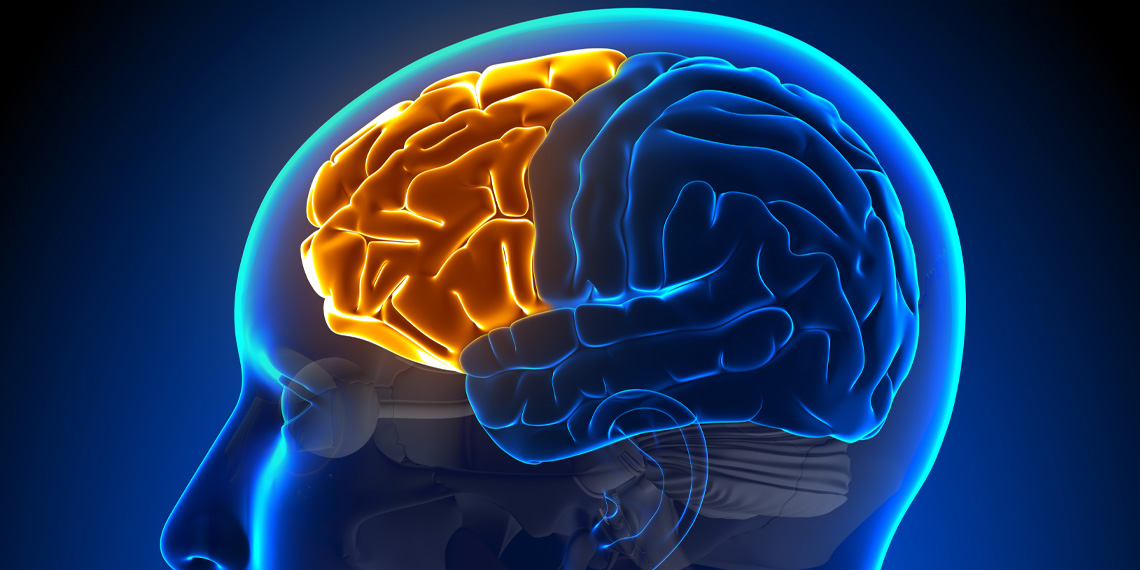 www.psypost.org