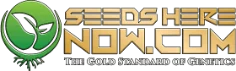 seedsherenow.com