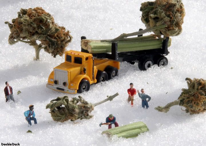 treechoppin.jpg