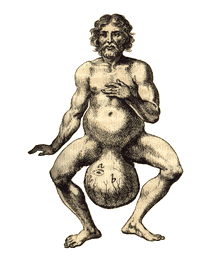 testiclees.gif