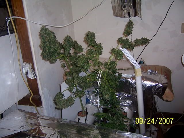 000_1605.jpg