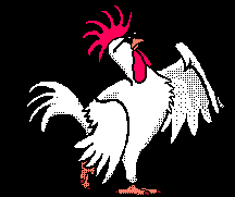 cool_chicken_strut_gif.gif