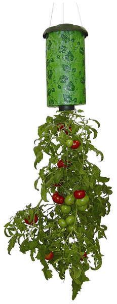 TopsyTurvyTomatoPlanter1.jpg