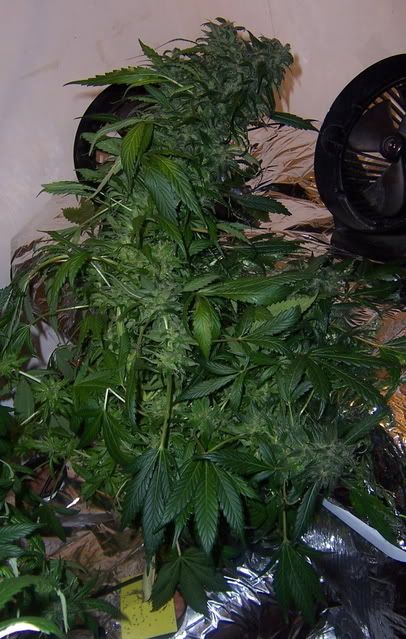 000_3344.jpg