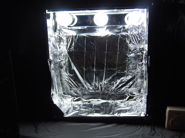 SSC_0982.jpg