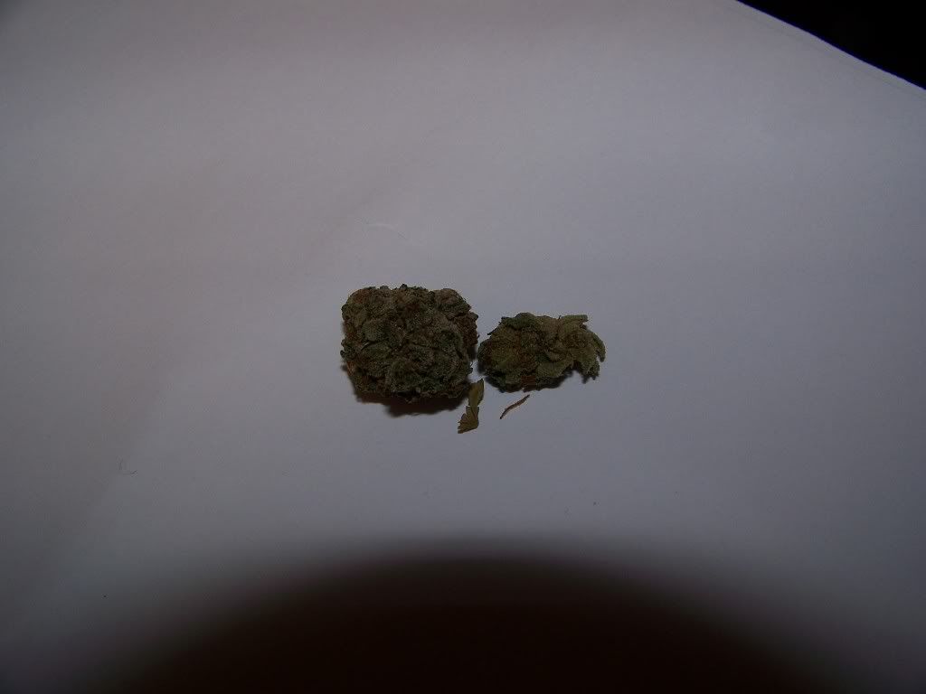100_0372.jpg