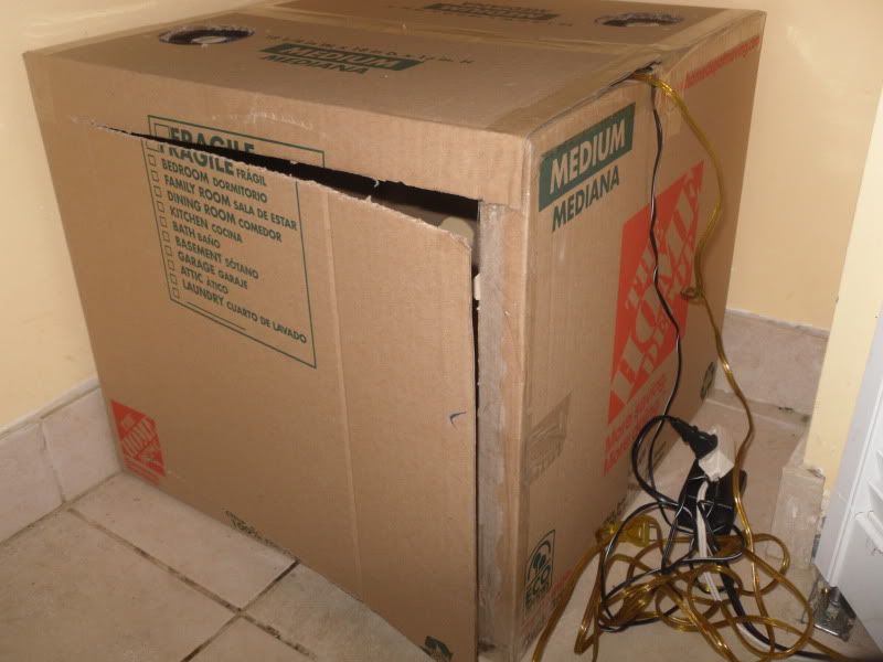 SDC10808.jpg