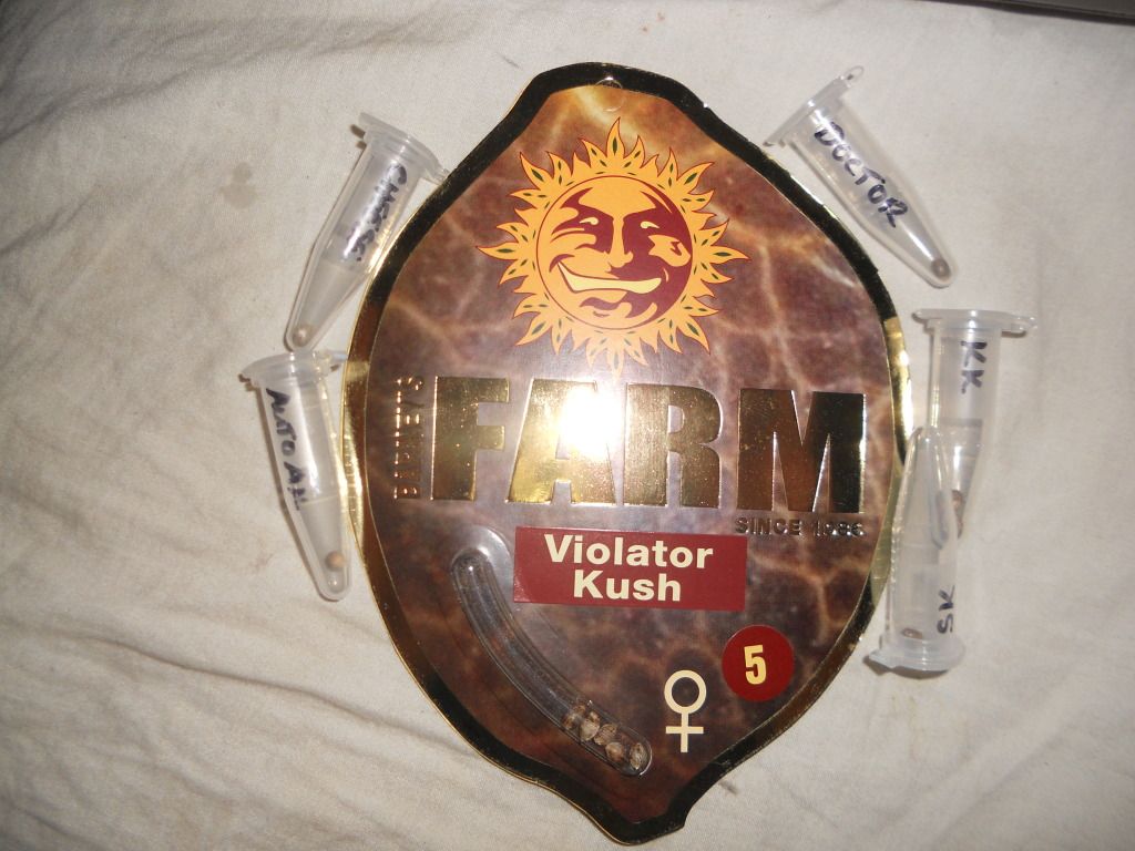 DSCN5042.jpg