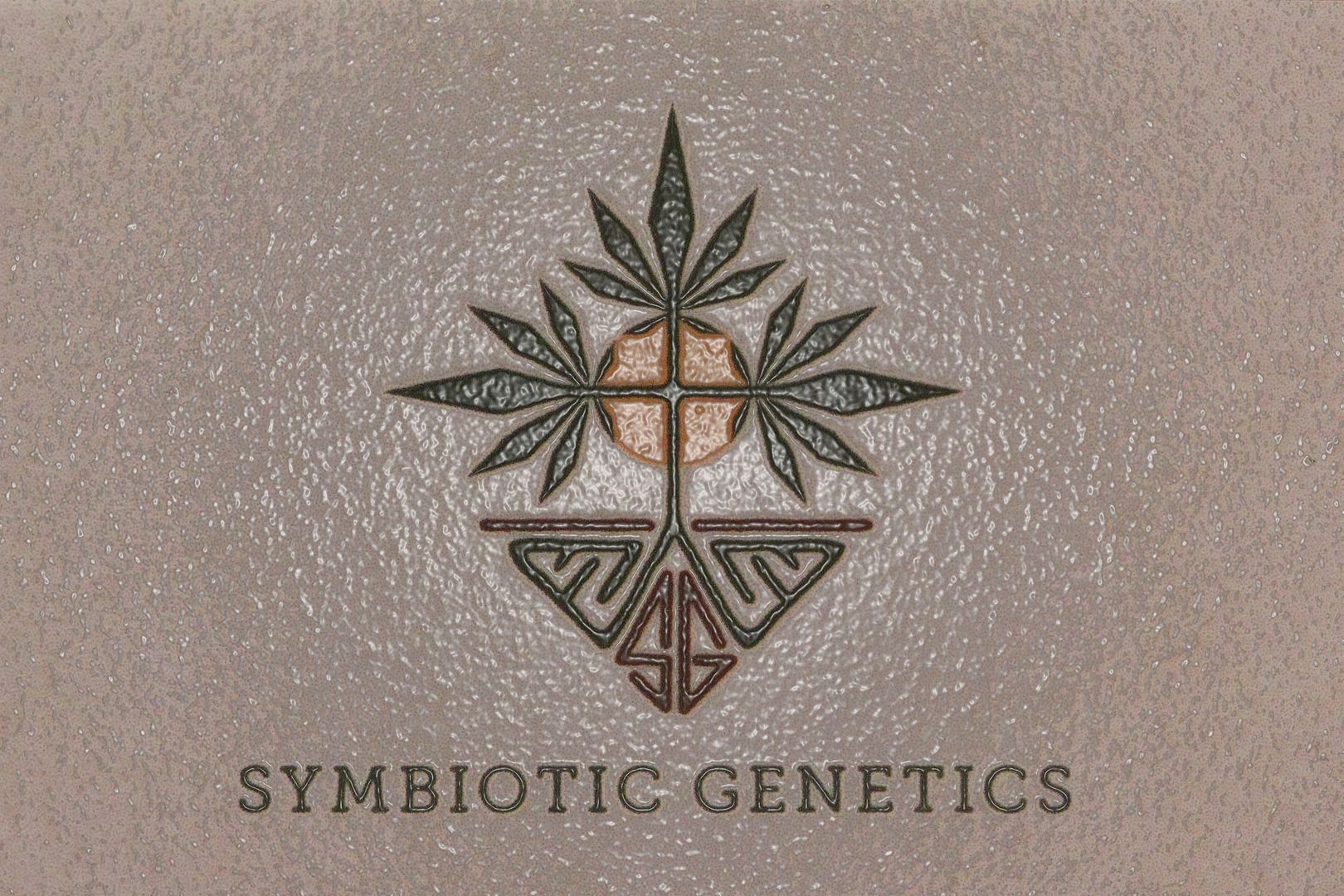 Symbiotic%20Genetics%20Logo2_zpskmxk8tfj.jpg