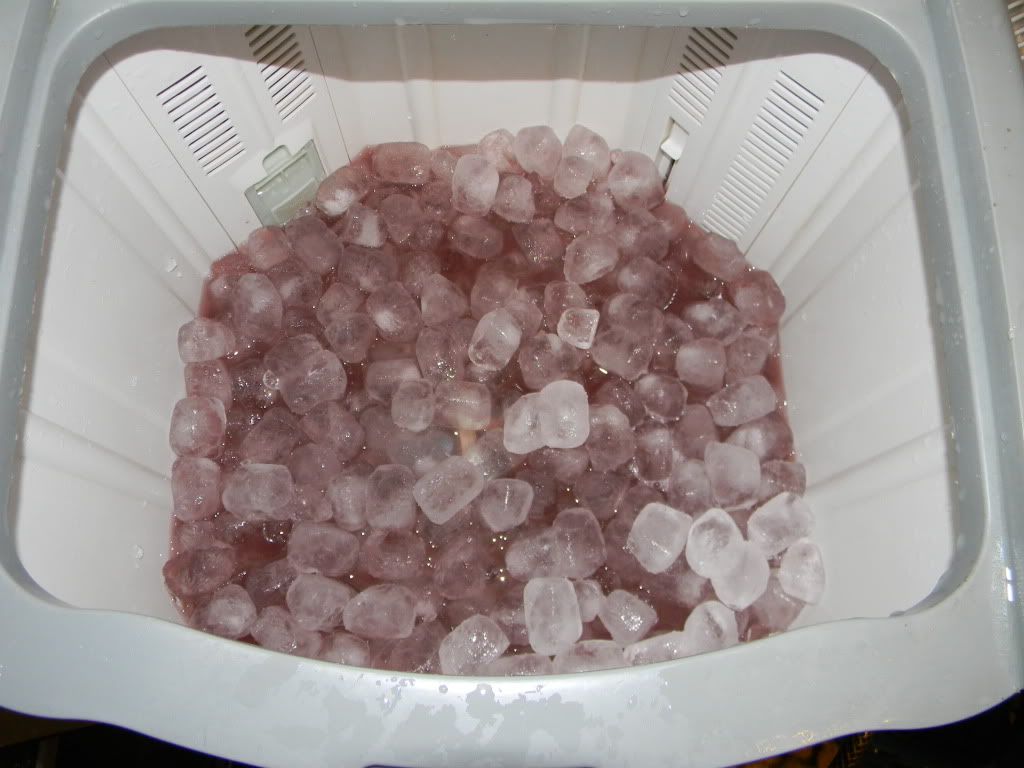 DSCN0845.jpg