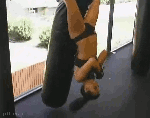 S9aqxAt.gif