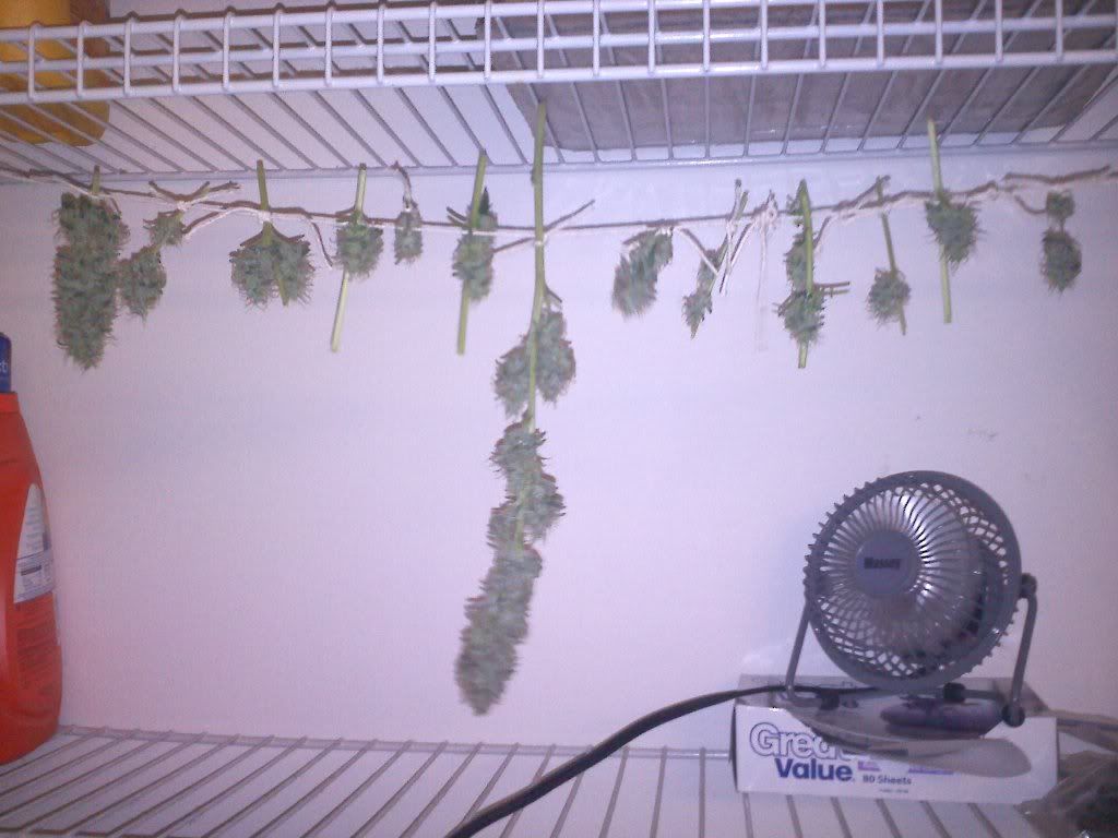 20101001133358.jpg
