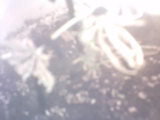 6c17d633.jpg