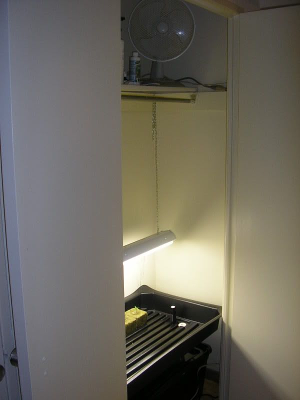 P1010012-1.jpg