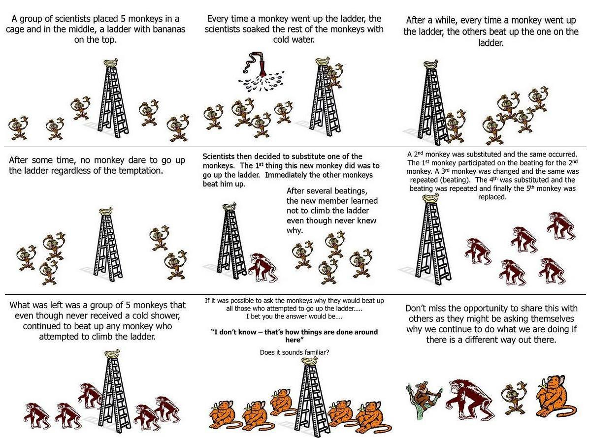 monkey-see-monkey-do.jpg