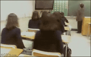 gifs_05.gif