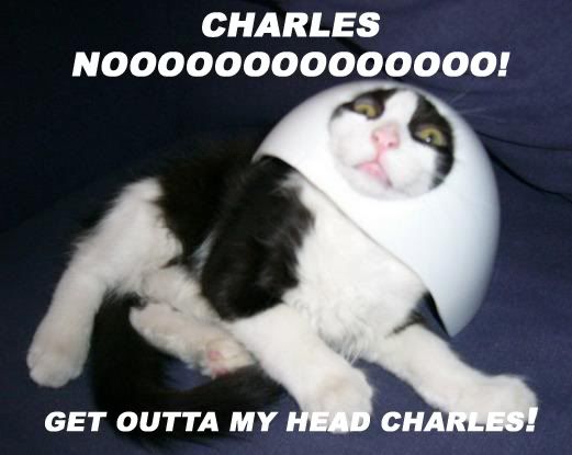 hilarious.jpg