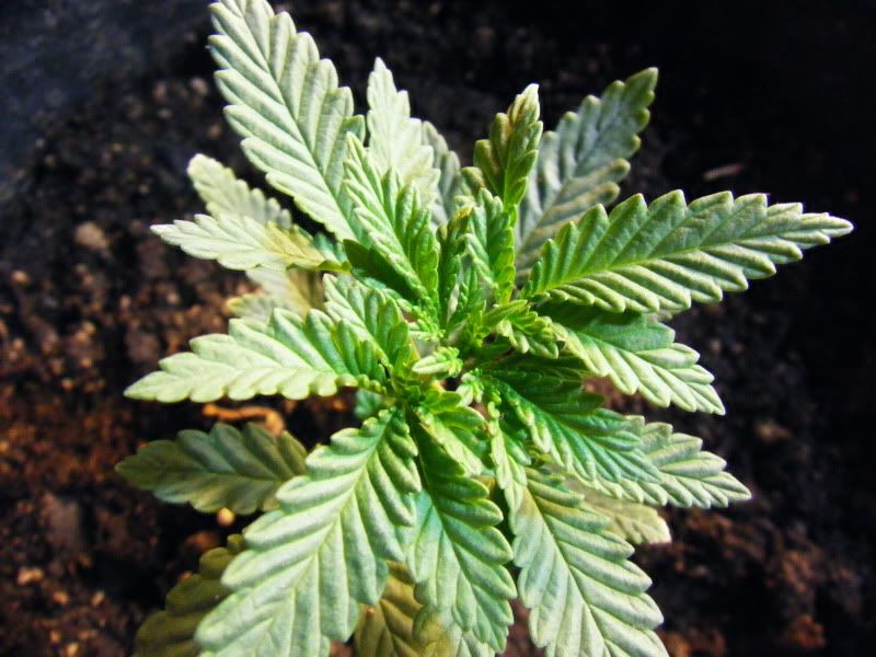 mj090003-2.jpg