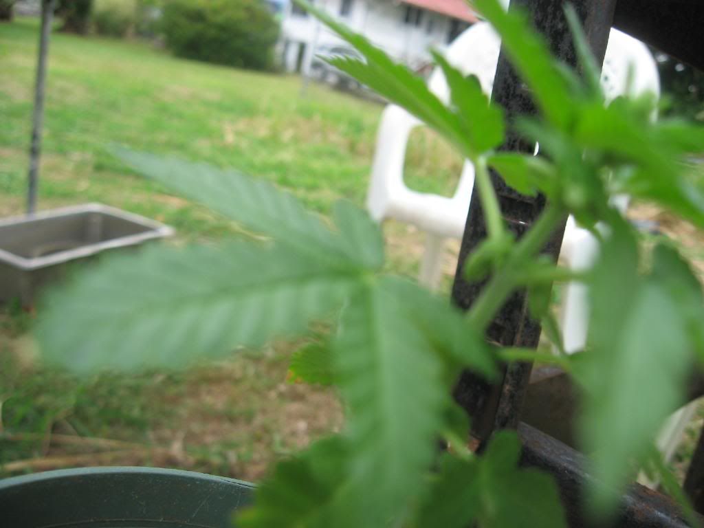 IMG_1840.jpg