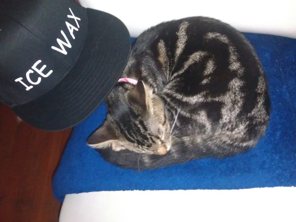 IMAG0517.jpg