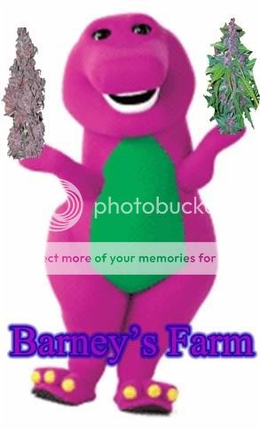 hahabarney1.jpg