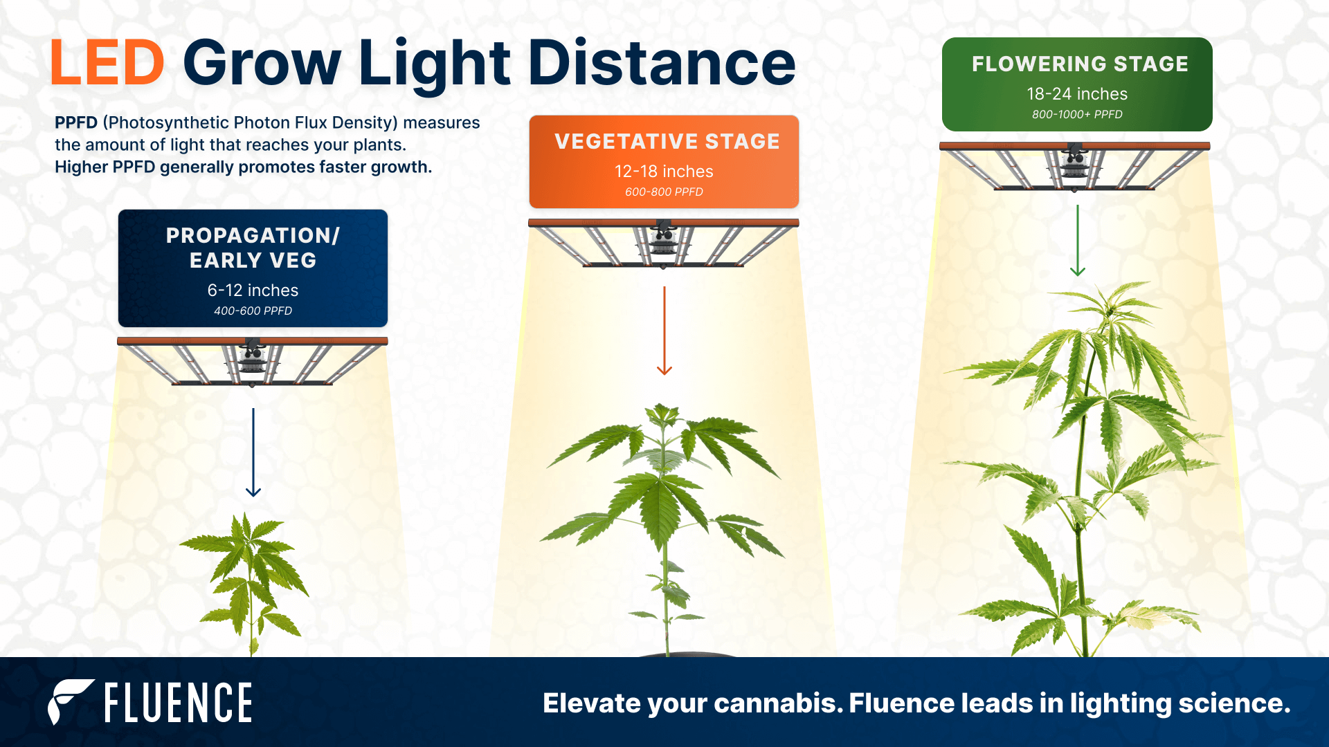 fluence.science