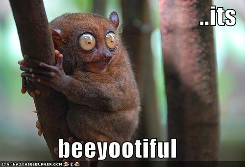 its-beeyootiful