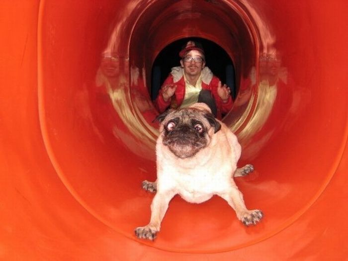 acid_picdump_73.jpg