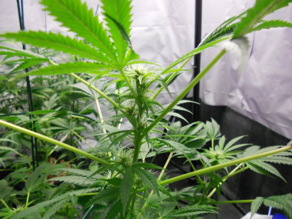 ES_Day24f_1.jpg
