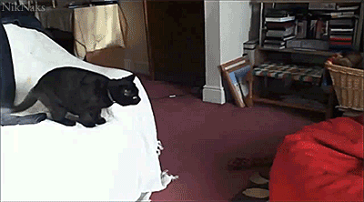 atY8Ofr.gif