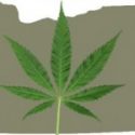 oregongreenseed.com