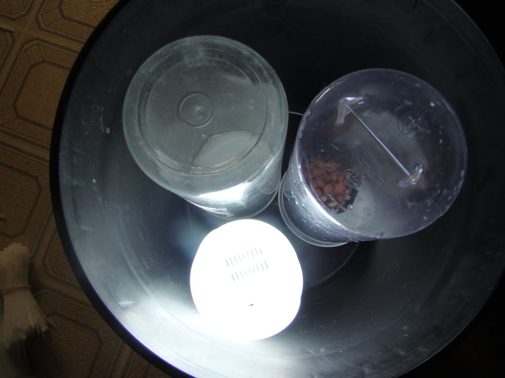 DSC01148.jpg