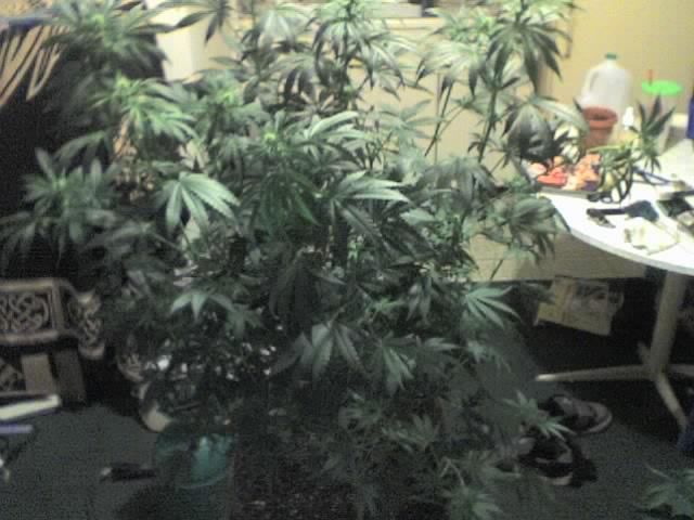 10-25-07_2009.jpg