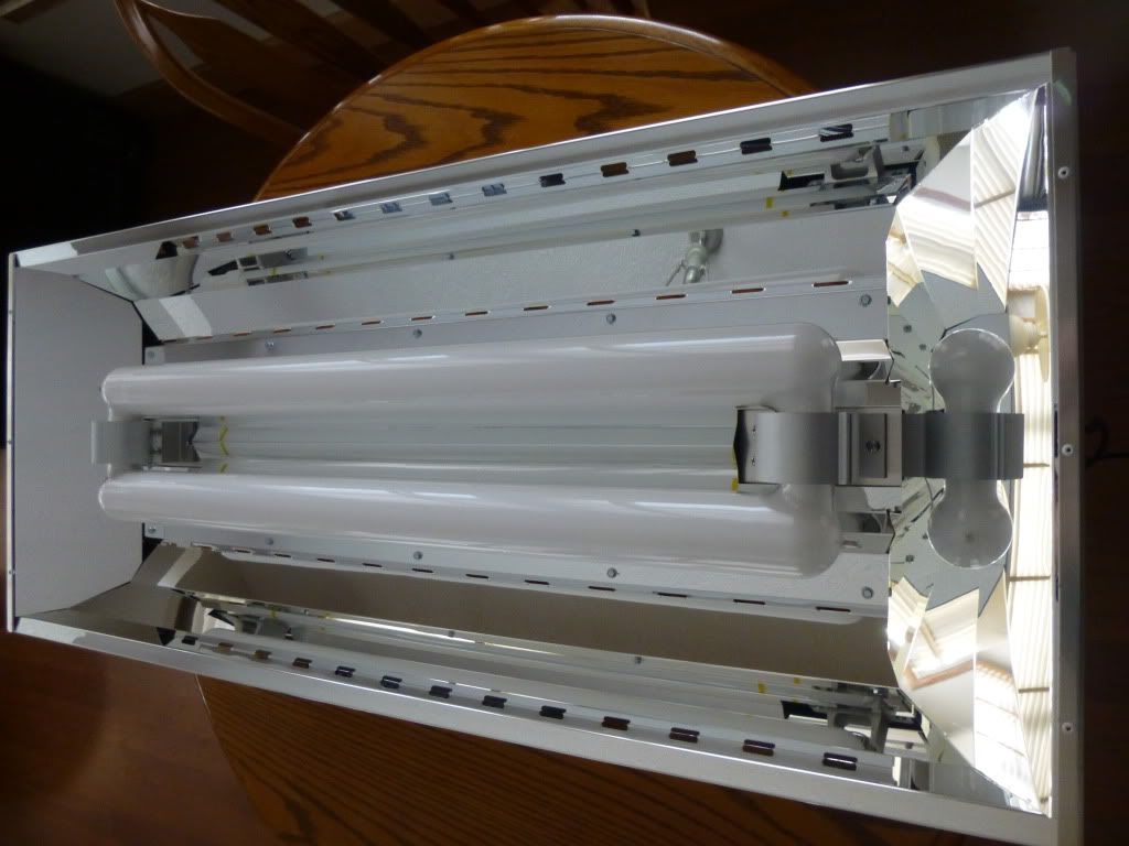 P1010143_zps6372020e.jpg