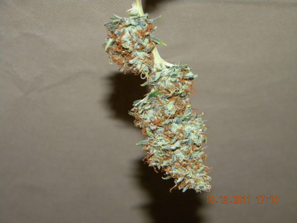 DSCN2859.jpg