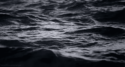 a58e9d69f4e461902cb80b7e2c4bf016.gif