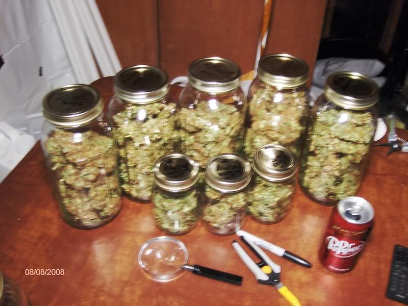 readytocure010.jpg