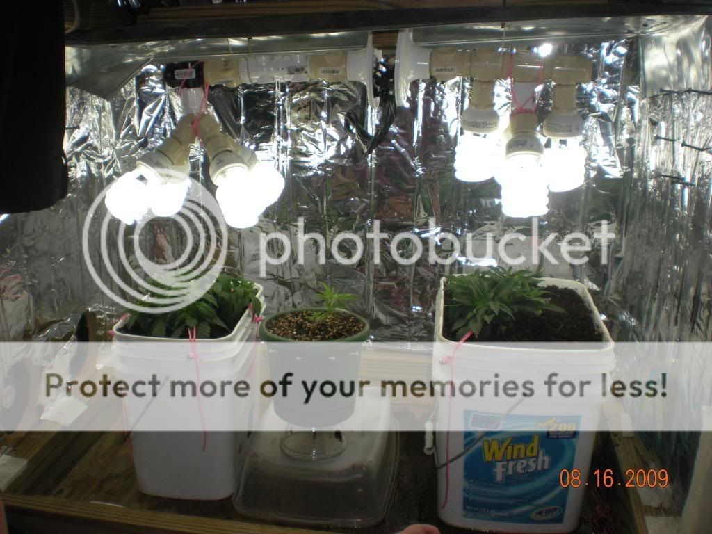 DSCN1862.jpg