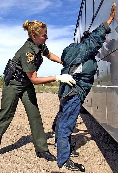 illegal9.jpg