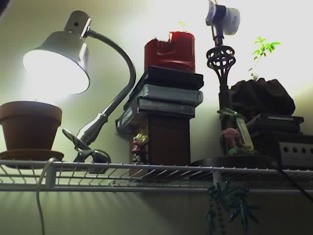 growroom-2.jpg