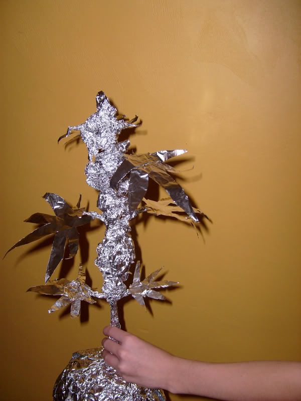 S6309175.jpg