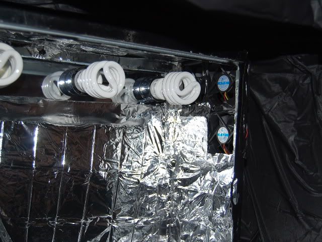 SSC_0984.jpg