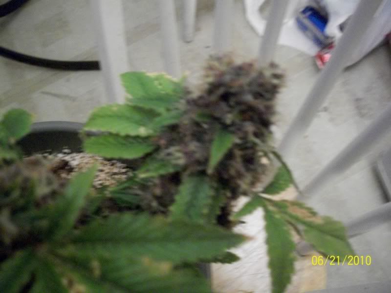100_1305.jpg